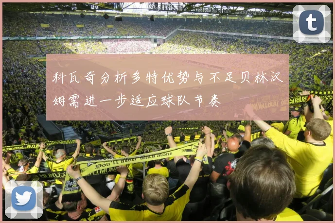 科瓦奇分析多特优势与不足贝林汉姆需进一步适应球队节奏