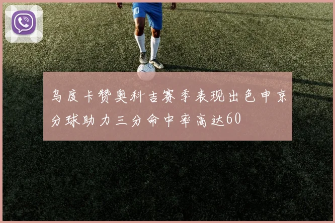 乌度卡赞奥科吉赛季表现出色申京分球助力三分命中率高达60